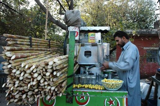 Poisonous sugar cane vendor: 