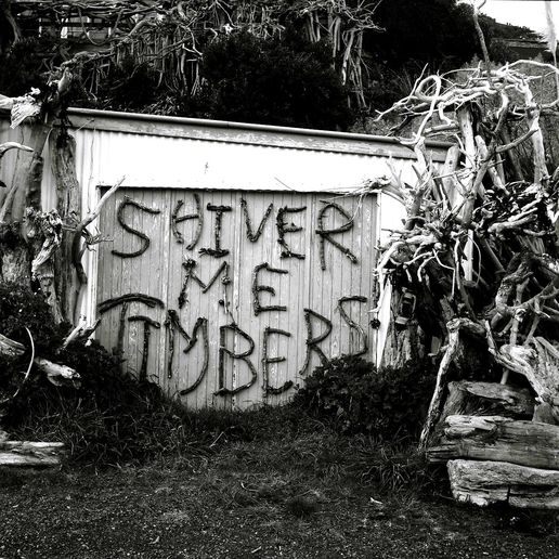 Shiver Me Timbers: 